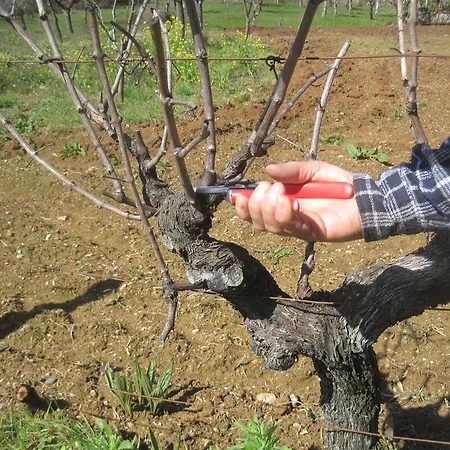 Casa de Férias Casa Do Retiro Pedrogao Grande