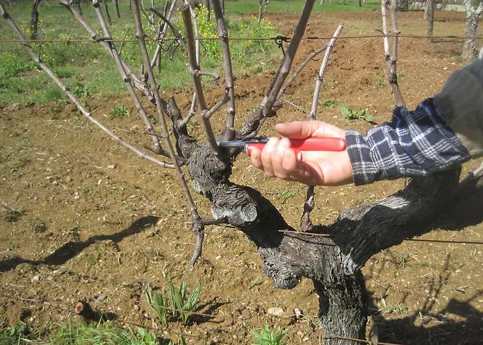 Dom wakacyjny Casa Do Retiro Pedrogao Grande