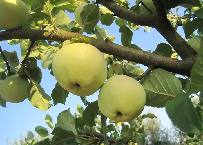 Casa Do Retiro Pedrogao Grande